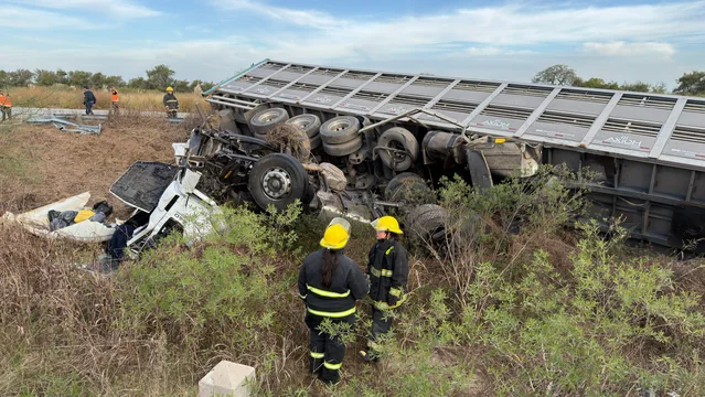 Autovía 19: volcó un camión que transportaba cerdos