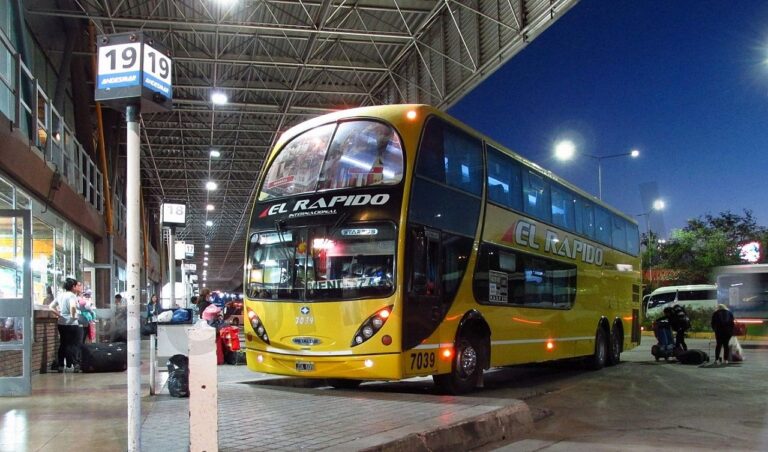 Pasajes gratuitos por discapacidad: el Gobierno eliminó las compensaciones pero el beneficio sigue vigente