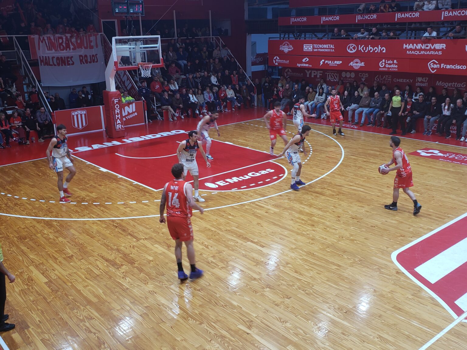 Viedma5