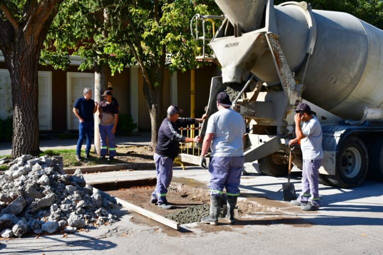 La etapa 12 del Plan Municipal de Bacheo siguió esta semana