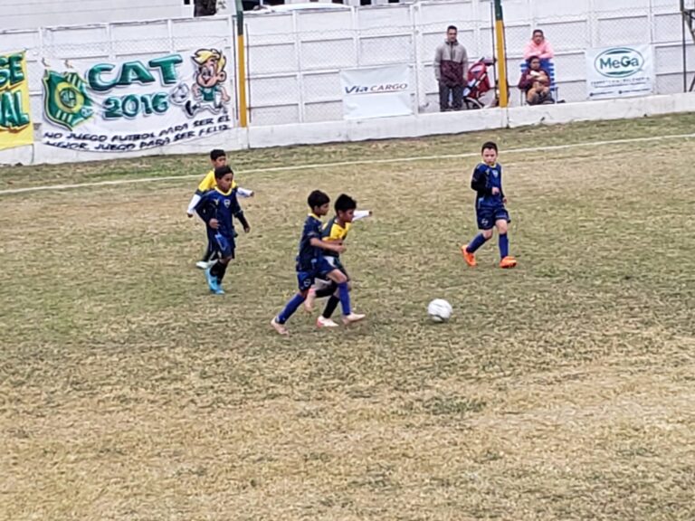 Tablas de posiciones hasta la fecha 11