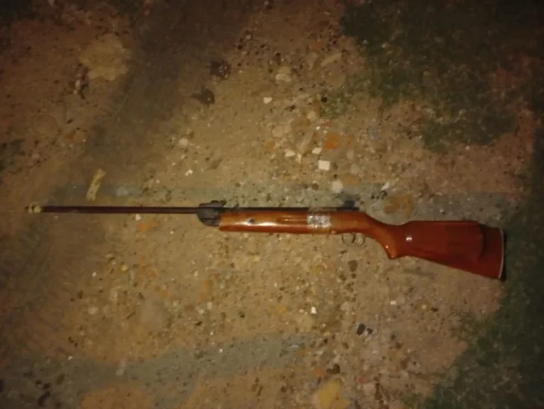 Secuestran un rifle de aire comprimido en barrio La Milka