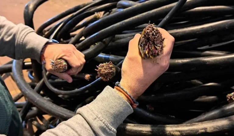 Dos menores detenidos por robar cables en Las Varillas