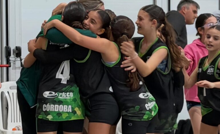 Voley
