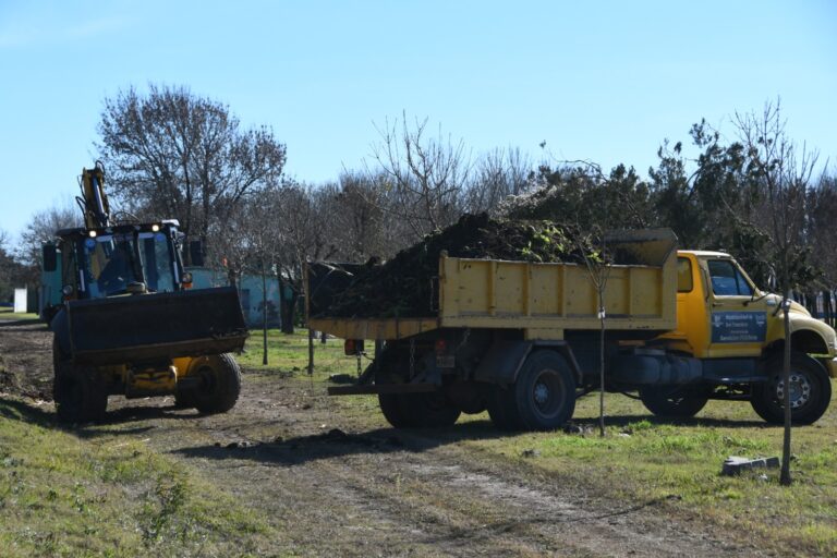 Se realizan tareas de mantenimiento y limpieza en canales del sector norte de la ciudad