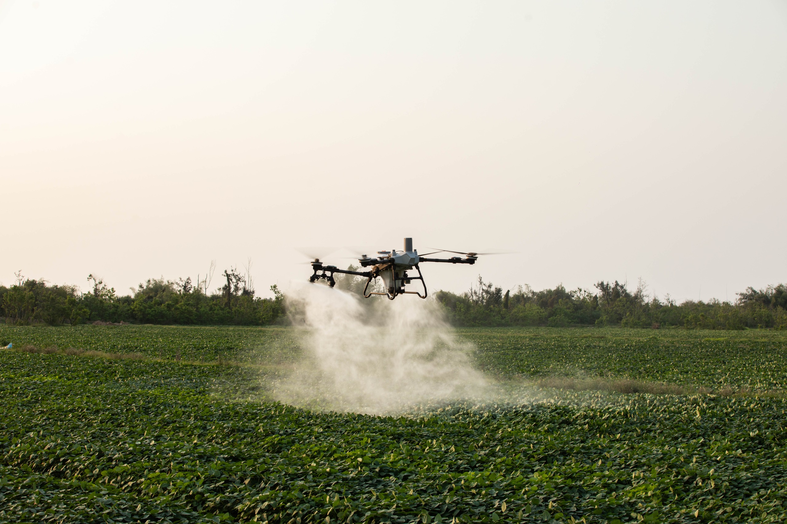AKRON DJI Agras T55 (1)