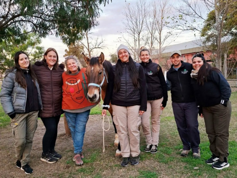 Equinoterapia: impulsan una ley para regular la actividad en toda la provincia