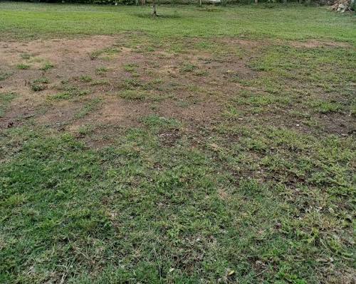 El Municipio avanza firmemente con la regularización dominial del ex “Loteo Pignata”