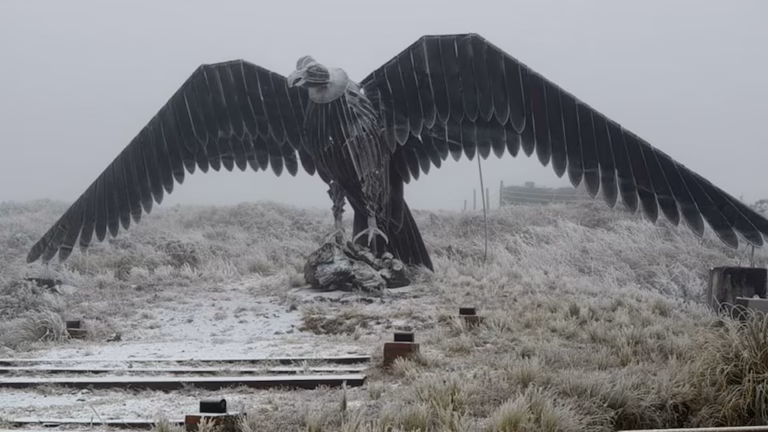 El frío polar hizo nevar en la provincia de Buenos Aires y en varias zonas del interior del país