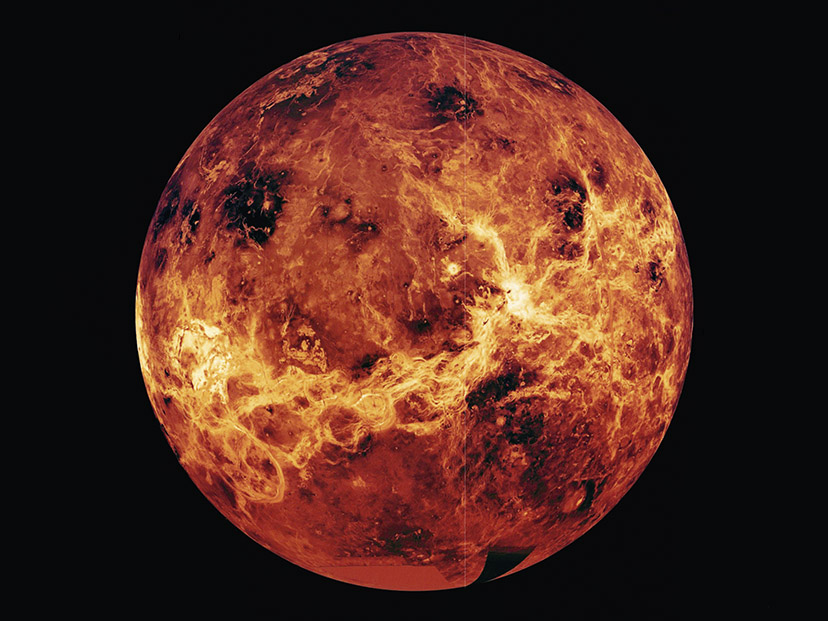 Venus SITE