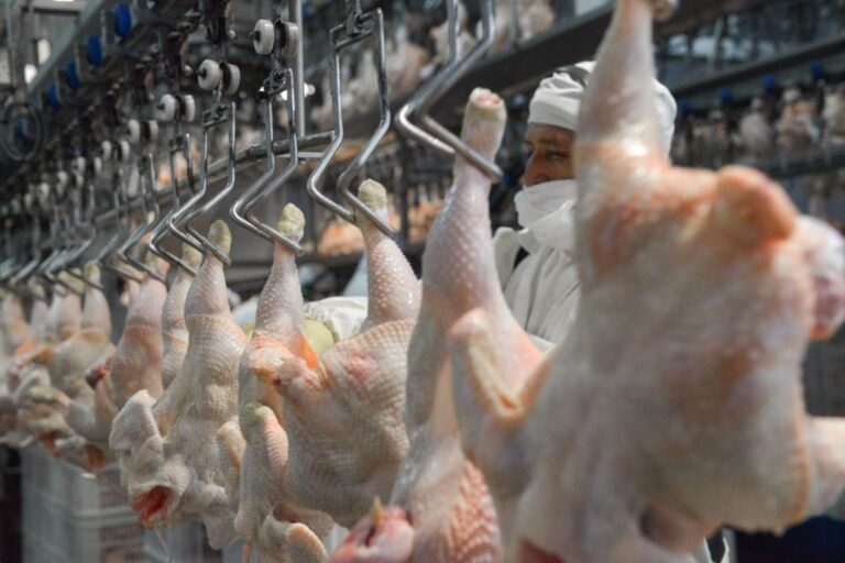 El pollo superó a la carne vacuna y se convirtió en la proteína más consumida por los argentinos