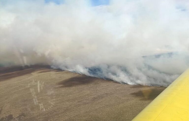Incendios en Córdoba: controlaron el foco en Salsacate y continúa activo el incendio en Cortaderas