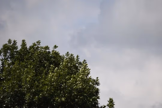 360
