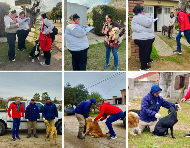 208 animales recibieron la vacuna antirrábica en El Fuertecito y La Curva