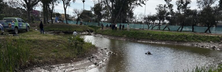 Se realizó un nuevo operativo de búsqueda por el yacaré en el Parque Cincuentenario