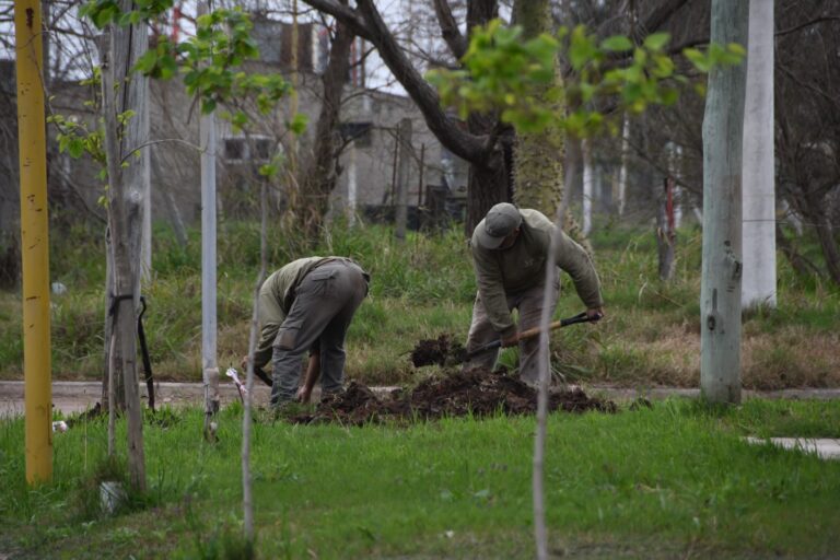 Comenzó la refuncionalización del sistema de drenaje pluvial en barrio Corradi