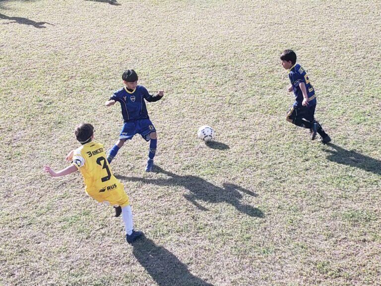 Tablas de posiciones hasta la fecha 6