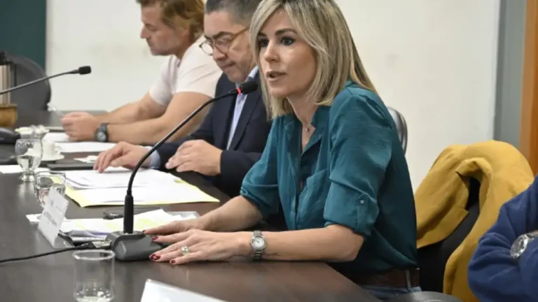 Alejandra Ferrero aseguró que nunca pensó en renunciar tras la denuncia contra un asesor radical