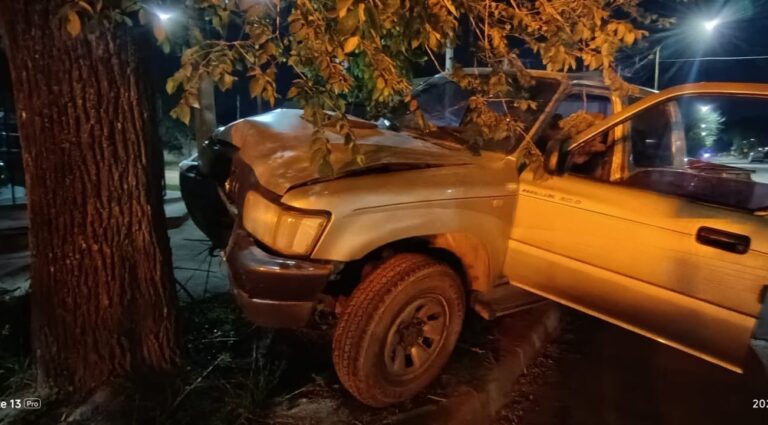 Perdió el control de su camioneta y se estrelló contra un árbol