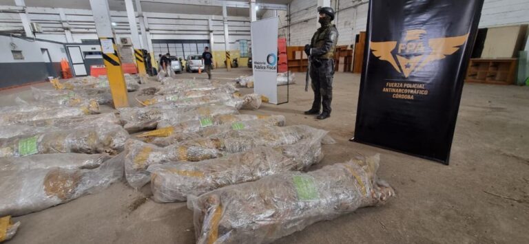 Córdoba: destruyeron drogas valuadas en casi $1.500 millones tras más de 5 mil procedimientos