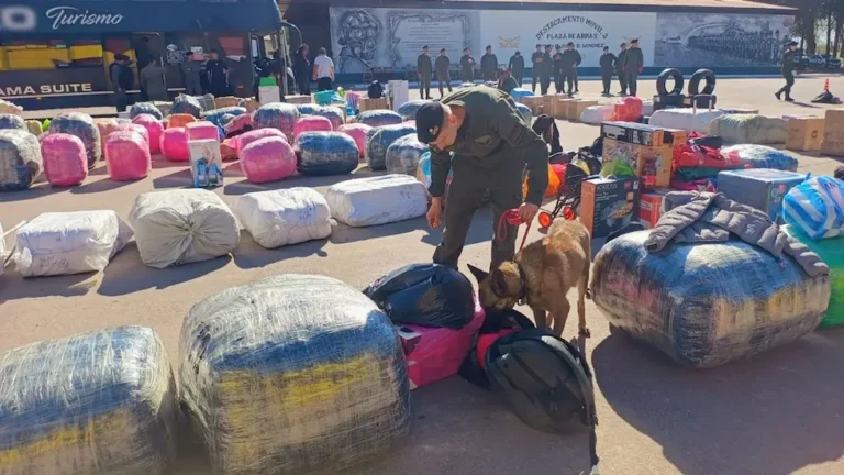 Córdoba: secuestraron mercadería de contrabando por $550 millones