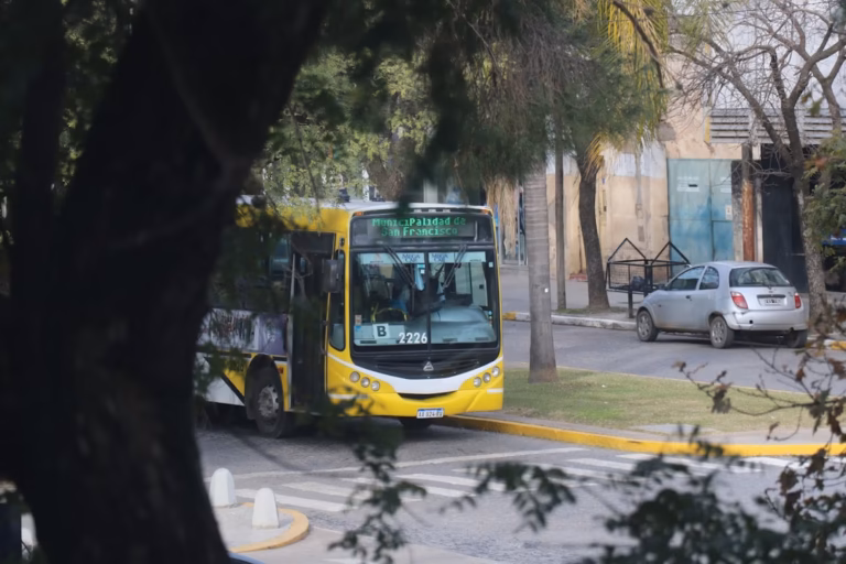 Cómo funcionarán los servicios municipales de San Francisco durante el feriado del lunes