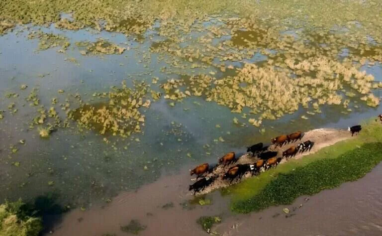Un productor murió ahogado en Santa Fe mientras crece la preocupación por las inundaciones y El Niño