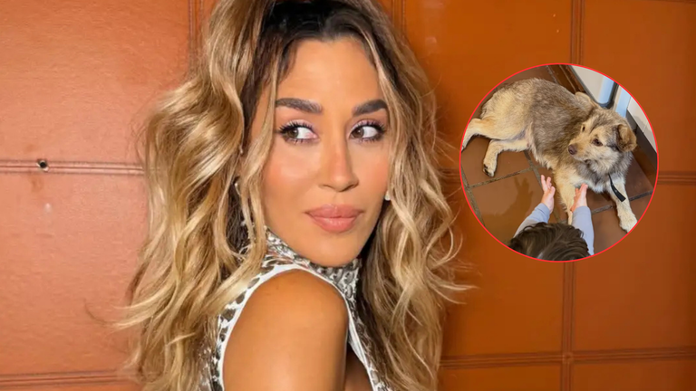 Jimena Barón descubrió que su perra recién adoptada está embarazada y quedó en shock al saber cuándo nacen